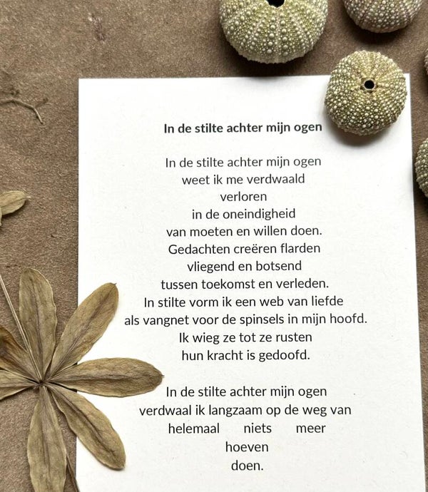 Gedicht IN DE STILTE ACHTER MIJN OGEN