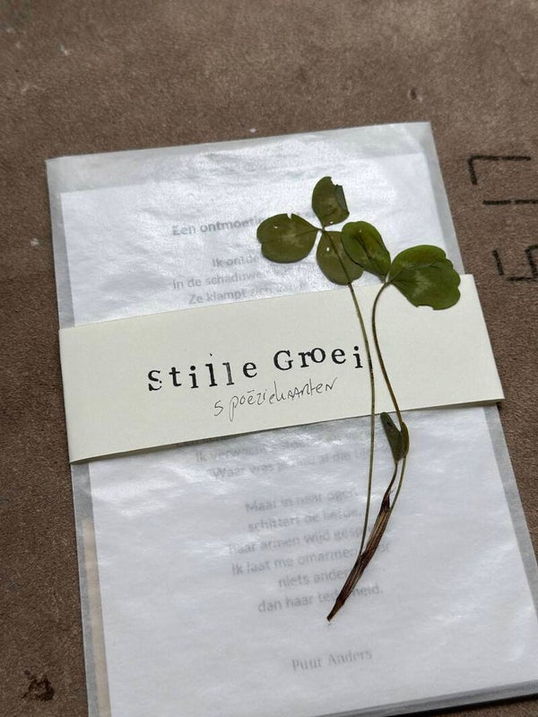 Poëziekaartenset Stille Groei