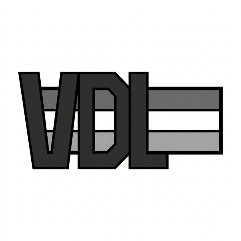 de-strategische-groei-richard-lauffer-vdl-standard.png