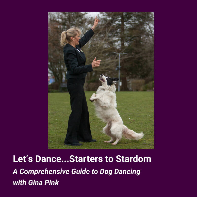 front covr of book Let's Dance