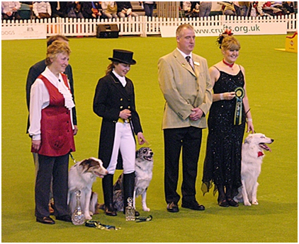 Gina Pink & Tapper at Crufts