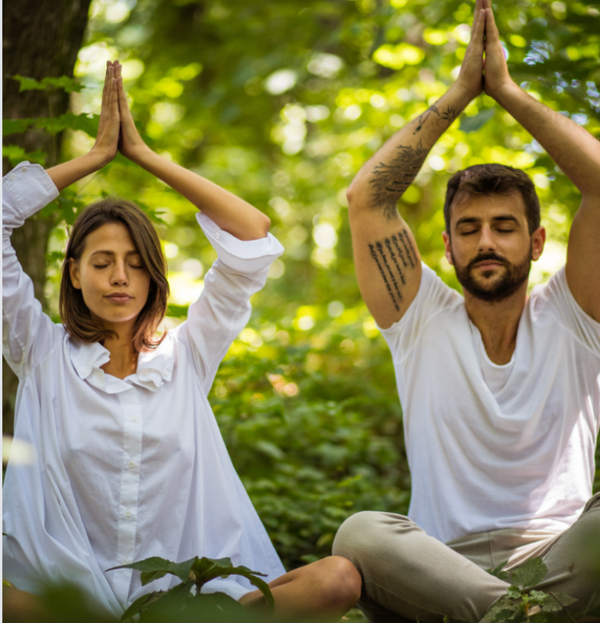 Meditation im Wald