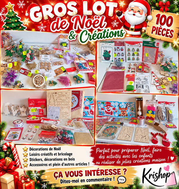 🎄🎅 GROS LOT DE NOËL À VENDRE – 25 € ! 🎅🎄