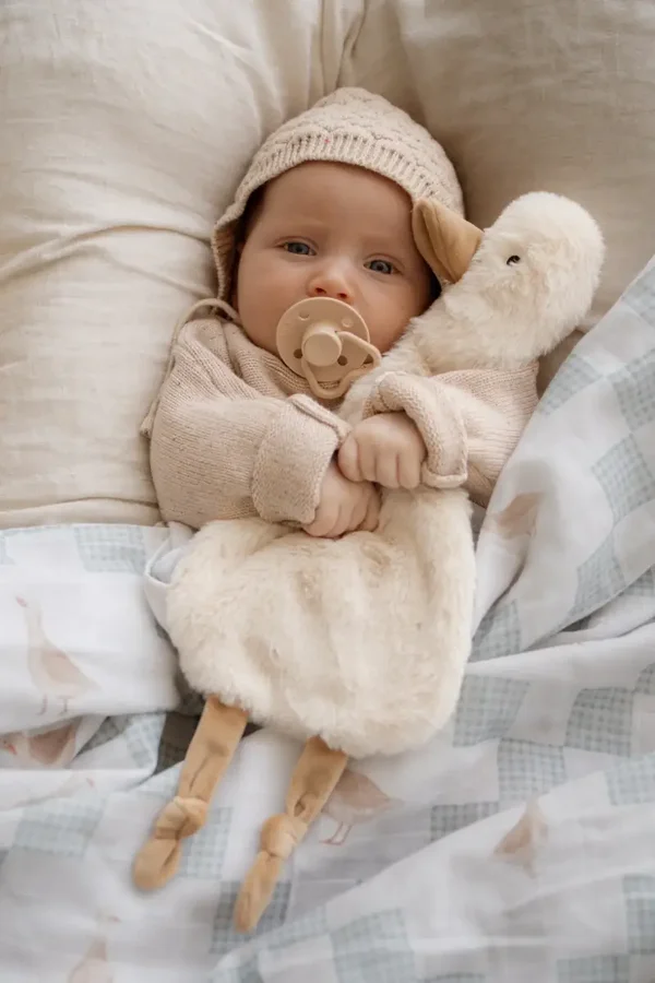 Schattige knuffel eend