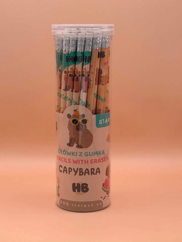 Crayon ordinaire