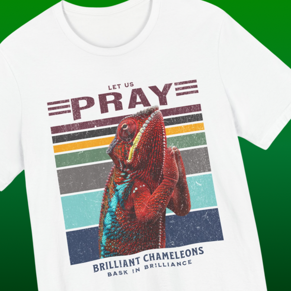 Brilliant Chameleons / Let us Pray - Soft Cotton T-Shirt
