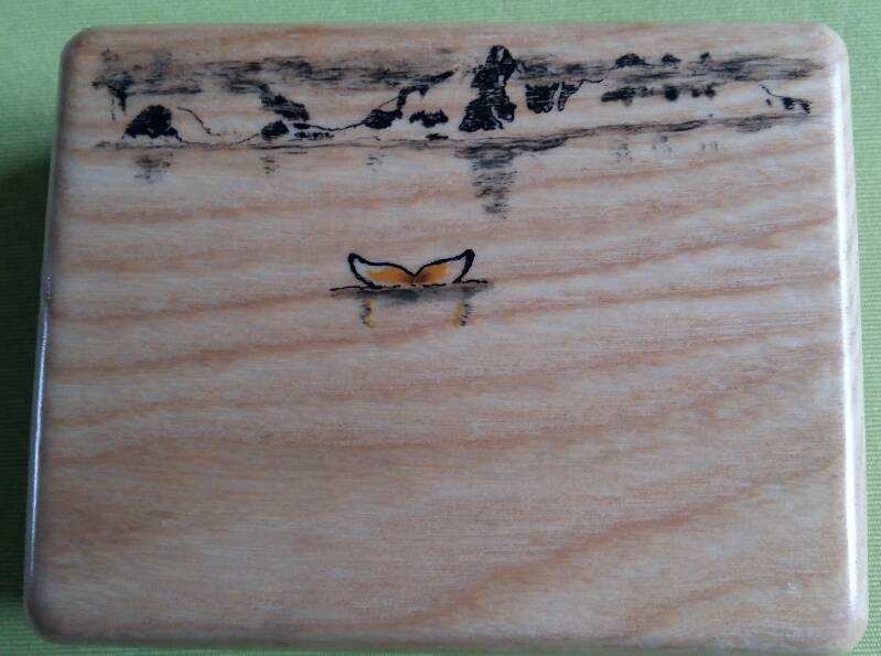 D'après photo clients, Baleine