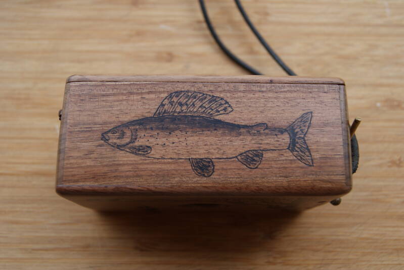 Déco sur boite mouches naturelles