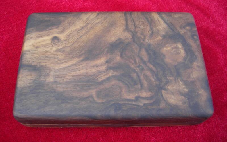 Noyer qualité extra