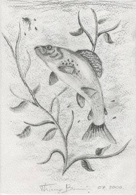 Ombre de la Dordogne que je n'ai pu qu' imaginer 07-2000