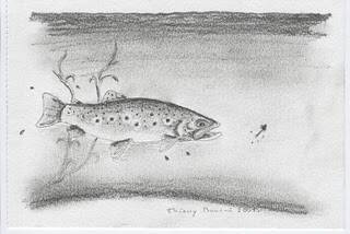 Truite et nymphe2005