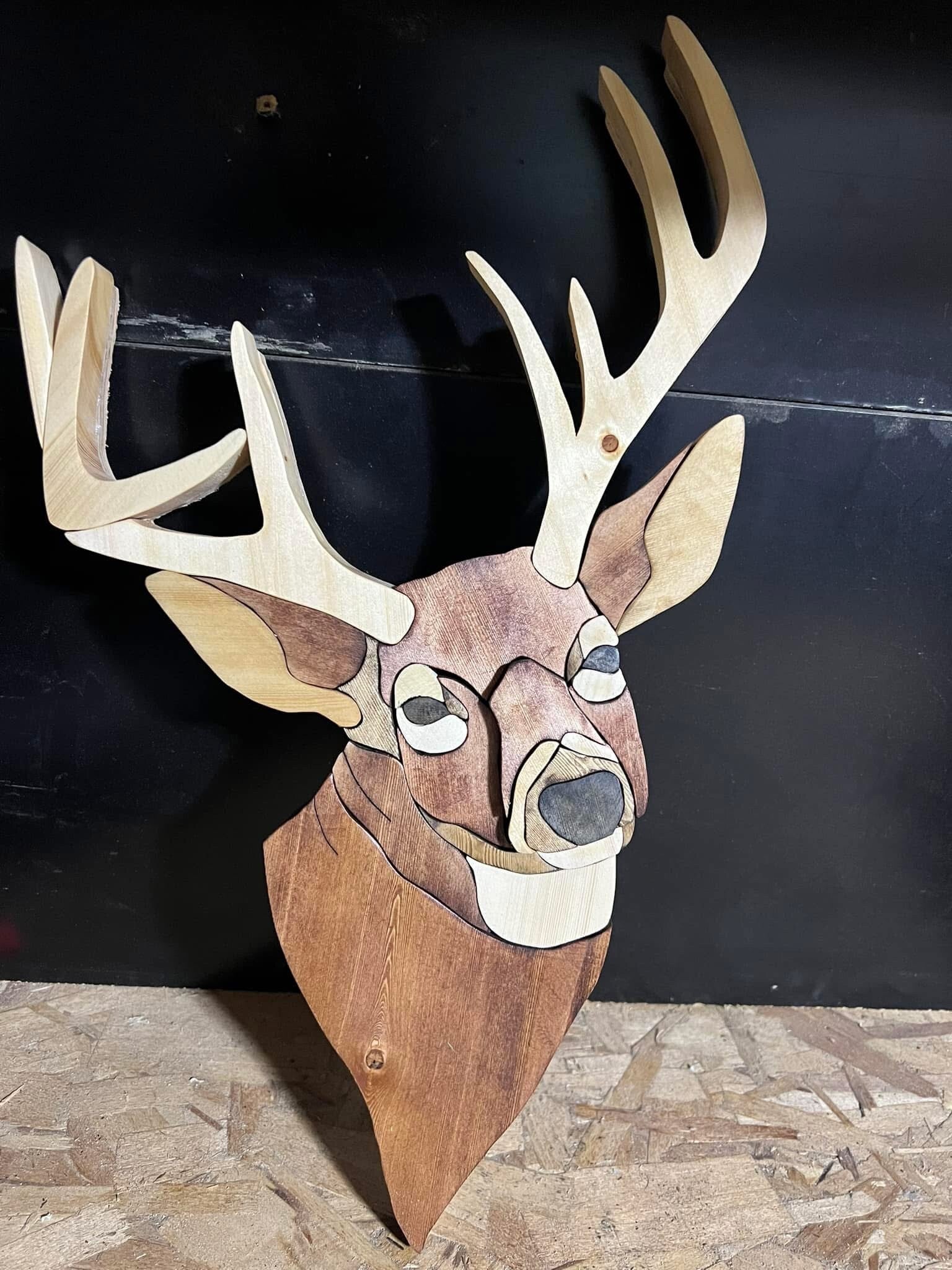 White Tail Deer Head