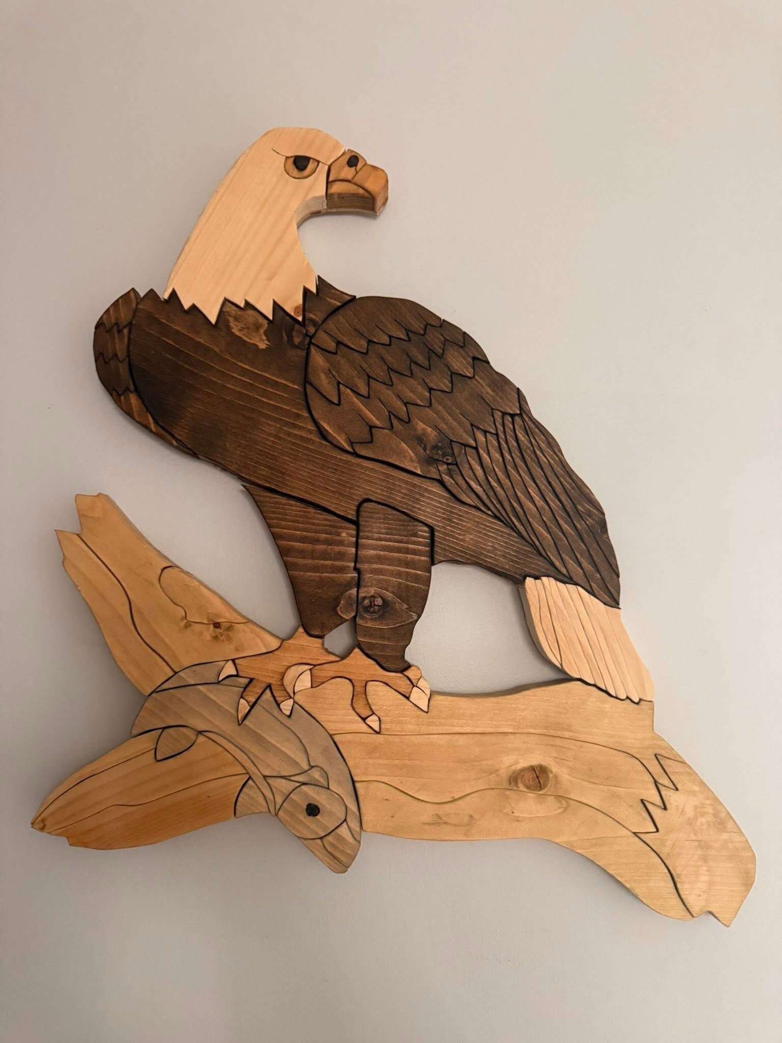 Eagle Catching Fish