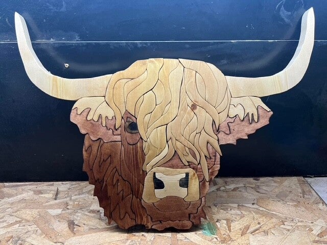 Highland Cow