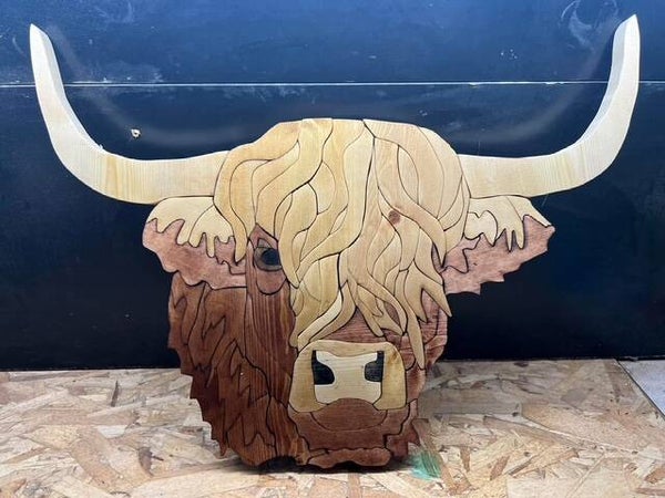Highland Cow