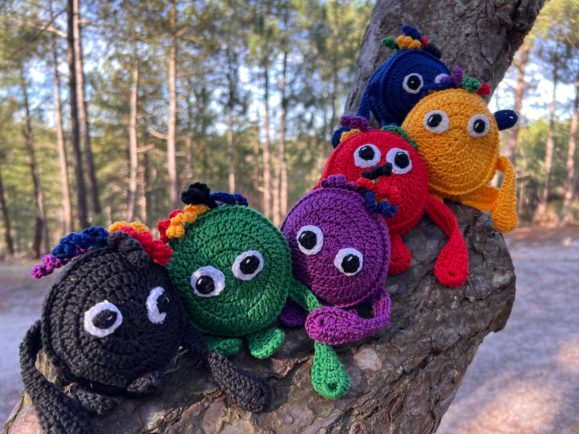 Schoorlse duinen, duin therapie, wandelcoaching