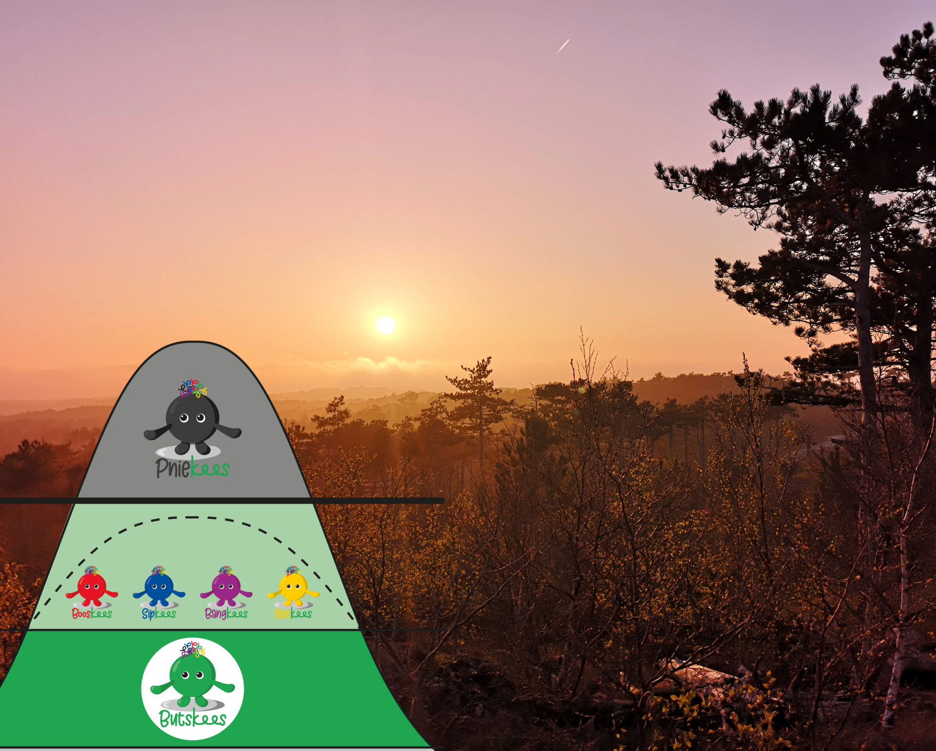 Schoorlse duinen, duin therapie, wandelcoaching