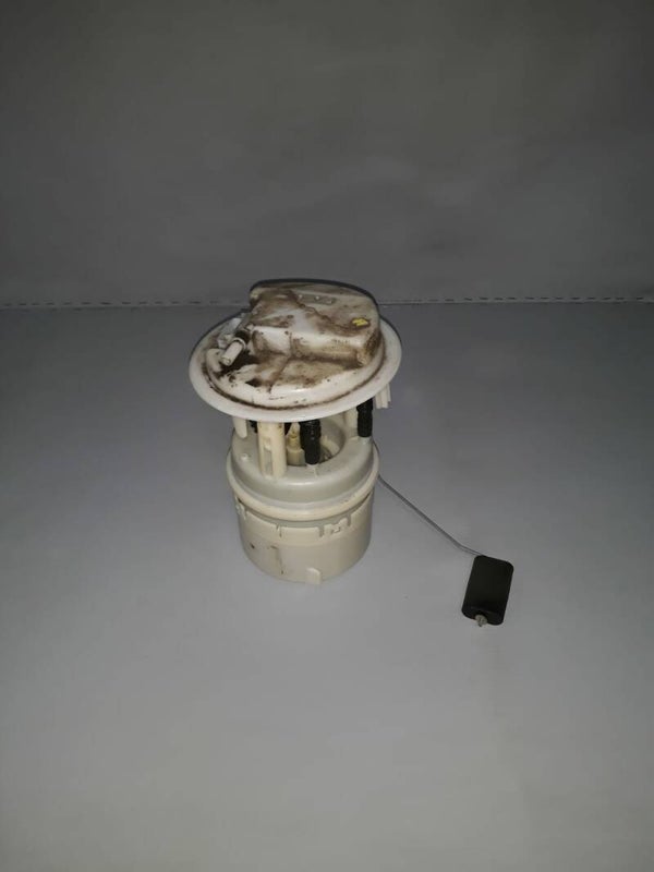 Peugeot 206 Brandstof pomp 1.6 16v