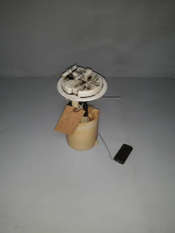 Peugeot 206 Brandstof pomp 2.0 16v