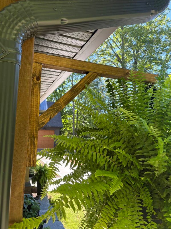 Plant Hanger