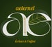 Aeternel