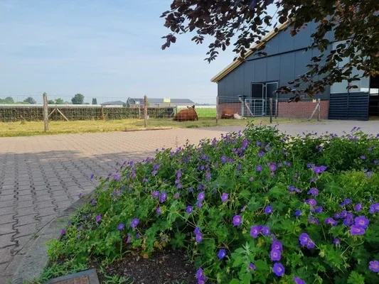 nerfleder items van ons eigen label