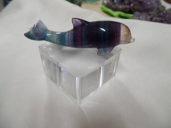 Fluorid Delphin