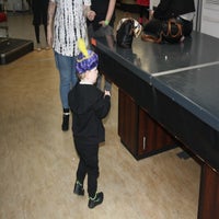 img_1915-standard-i593yu.jpg