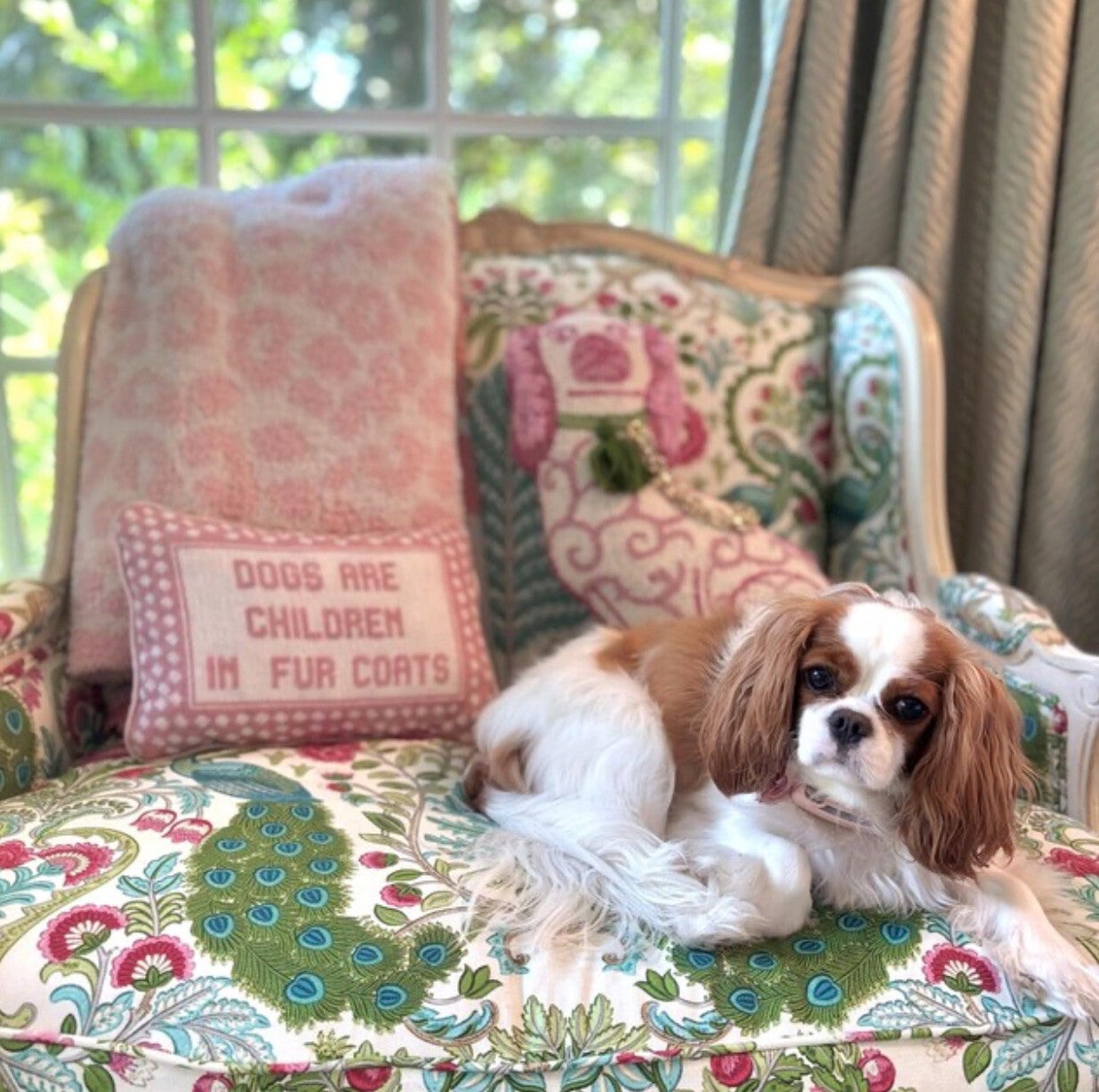 French country interior styling with elegant handmade needlepoint pillows and timeless rustic decor