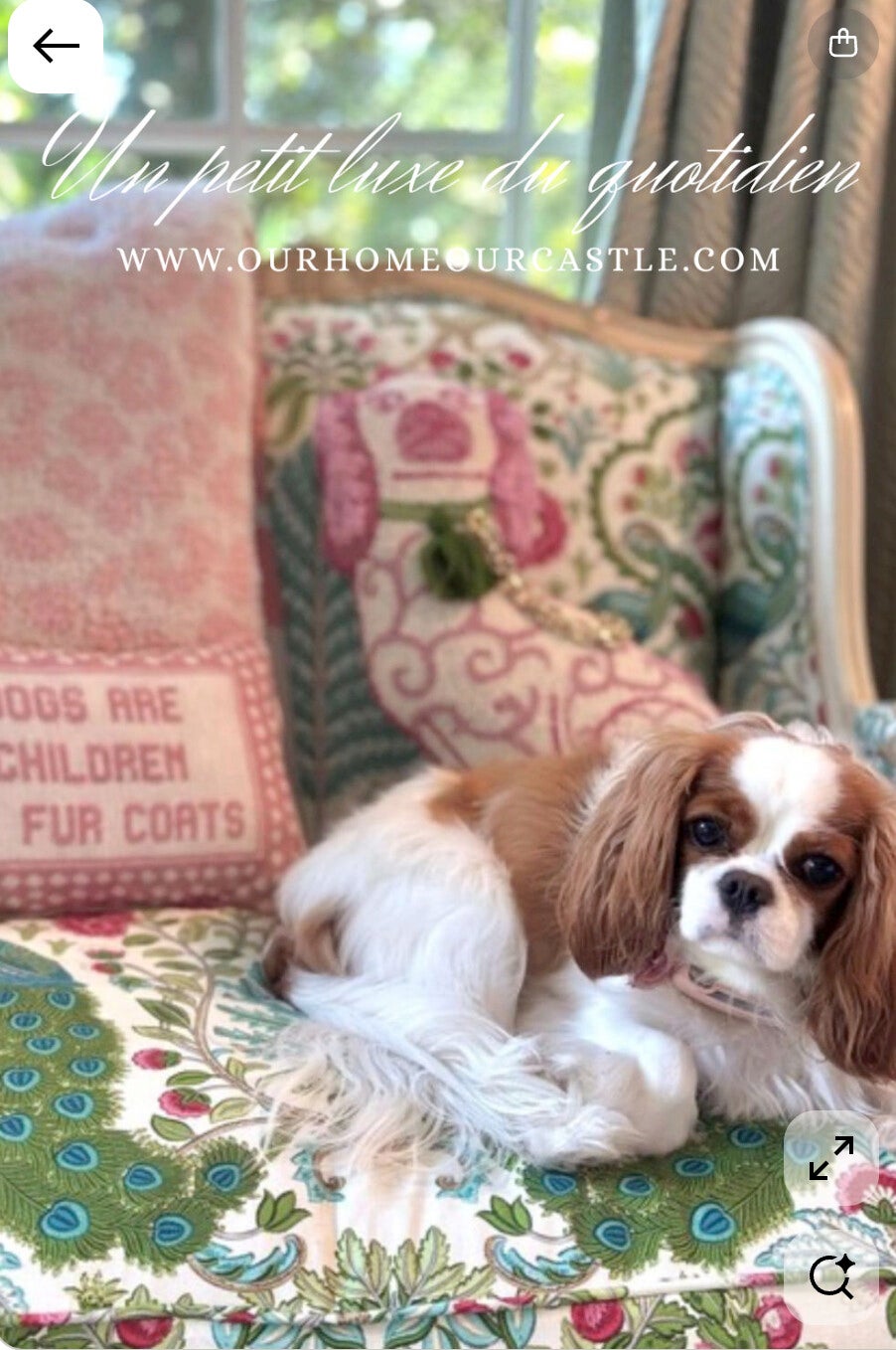Luxury handmade needlepoint pillows styled in an elegant European interior with timeless decorative textiles