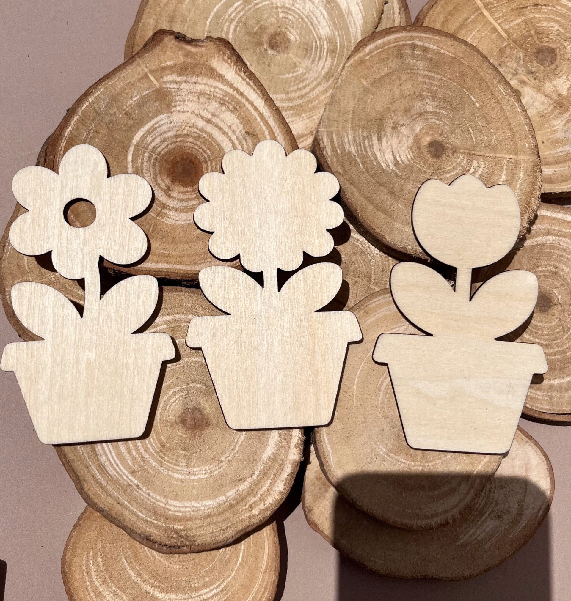 Magnets à peindre - Jolies fleurs (grand format)