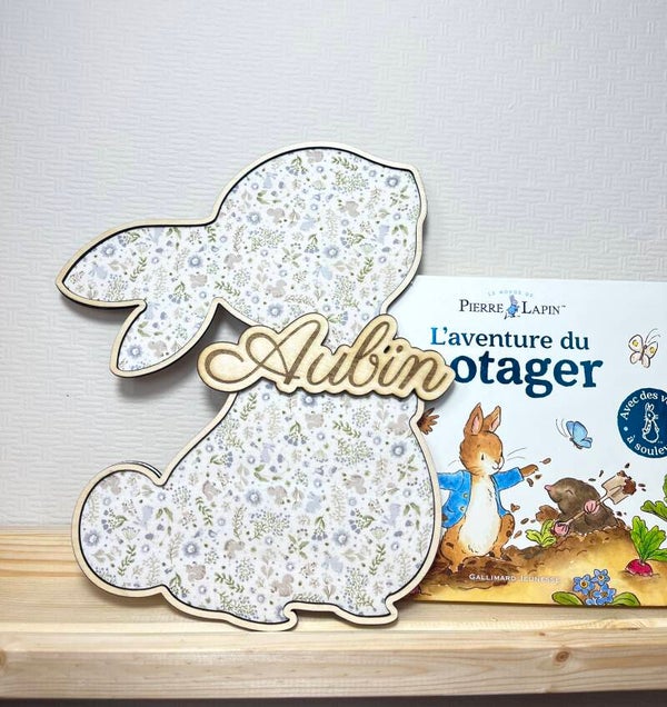 Aubin - Mon petit lapin