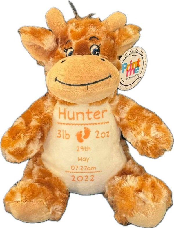 Personalised Soft Teddy - Giraffe - Birthday - Christening - Christmas -  Birth - Any occasion