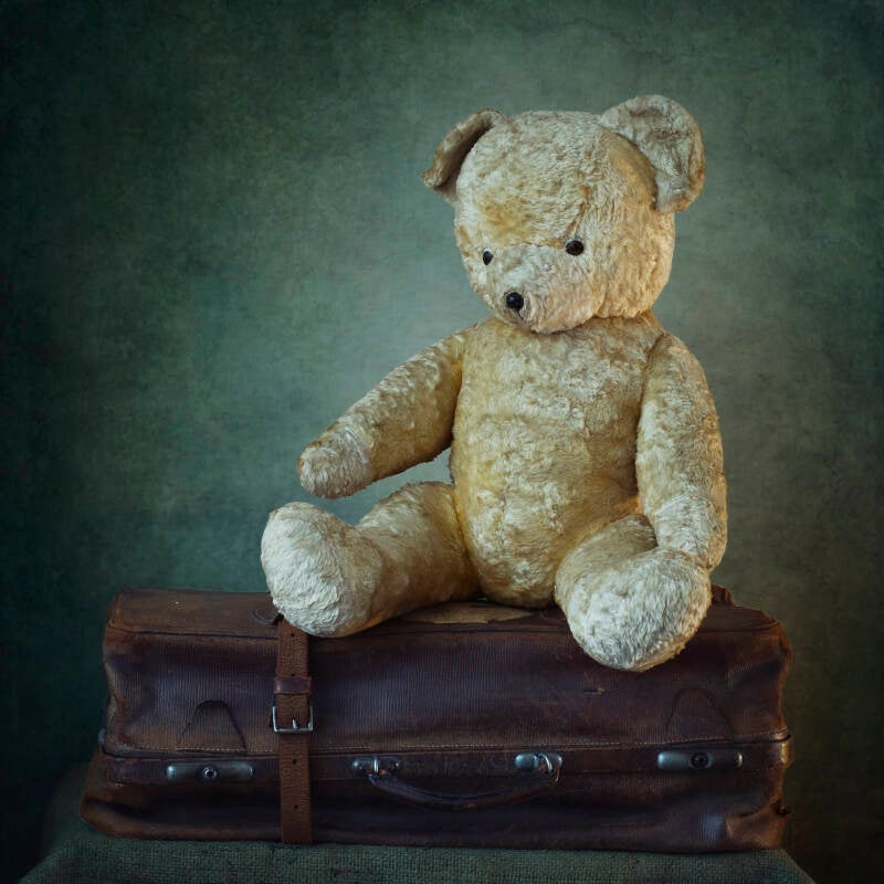 bear2-standard.jpg