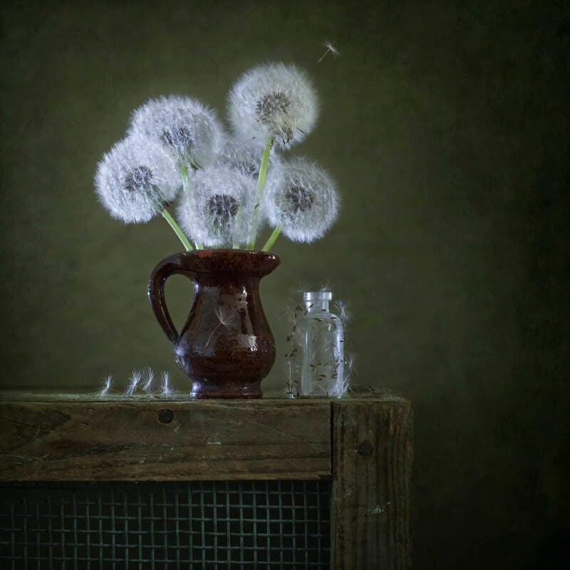 flowersoflight_print-standard-farhfw.jpg