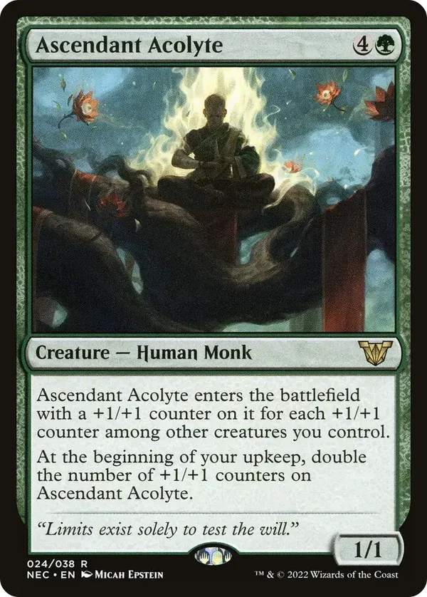 Ascendant Acolyte 024/038 Neon Dynasty Commander