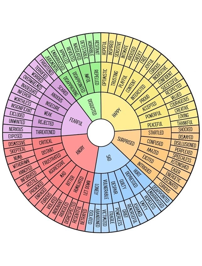 Emotional Wheel of Feelings