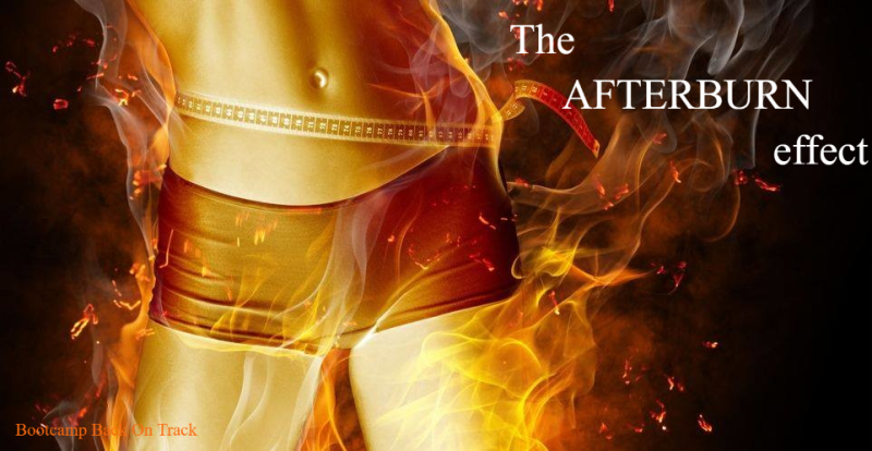 PT, personal trainer, conditie, fitness, fitness Beringen, gezondheid, afslanken, vetverbranding, afvallen, bodybuilding, krachttraining, conditietraining, volleybal, bokszaktraining, basketbal, voedingsadvies, afvallen, rugby, gezondheid, sporten, diêten