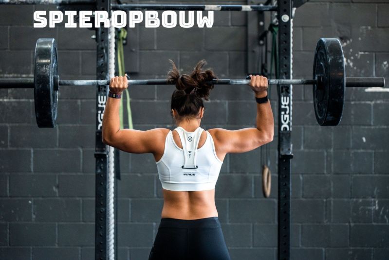 PT, personal trainer, conditie, fitness, fitness Beringen, gezondheid, afslanken, vetverbranding, afvallen, bodybuilding, krachttraining, conditietraining, volleybal, bokszaktraining, basketbal, voedingsadvies, afvallen, rugby, gezondheid, sporten, diêten