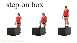 PT, personal trainer, bootcamp, conditie, fitness, fitness Beringen, Beringen, Eldi, gezondheid, afslanken, vet verbranden, sportvibes, Wilfried Van Engeland, Davy Dekoning, bodybuilding, workout, training, kickboksen, bokszaktraining, power, basketbal, r