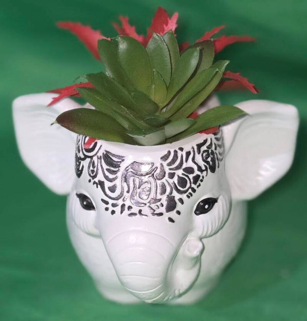 Elefant mit Sukkulenten