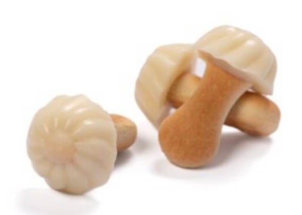 Biscuit champignon chocolat Blanc