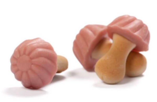 Biscuit champignon chocolat fraise