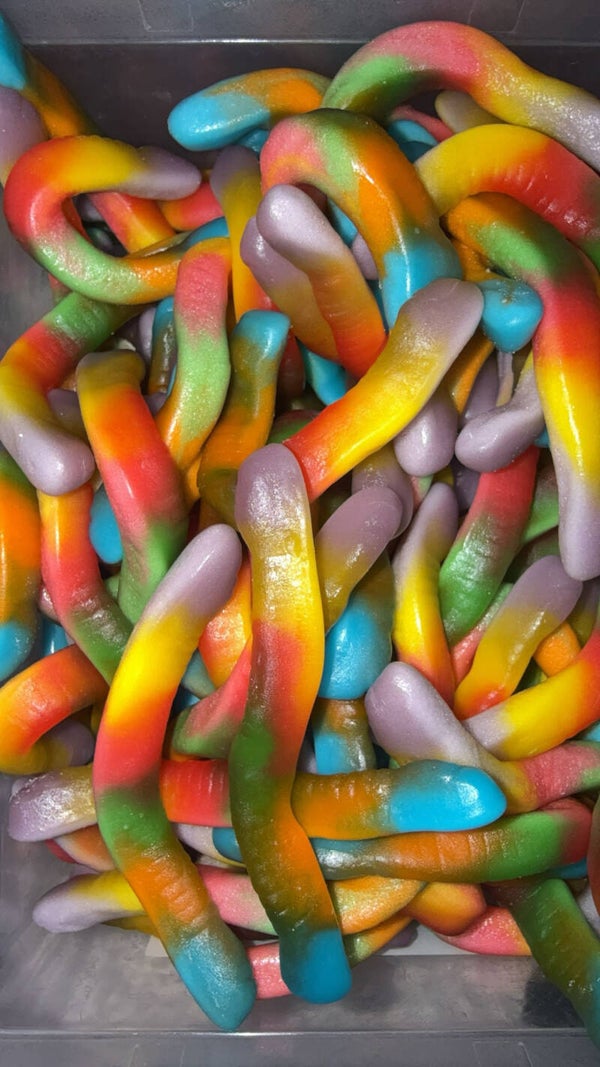 Vers multicolore