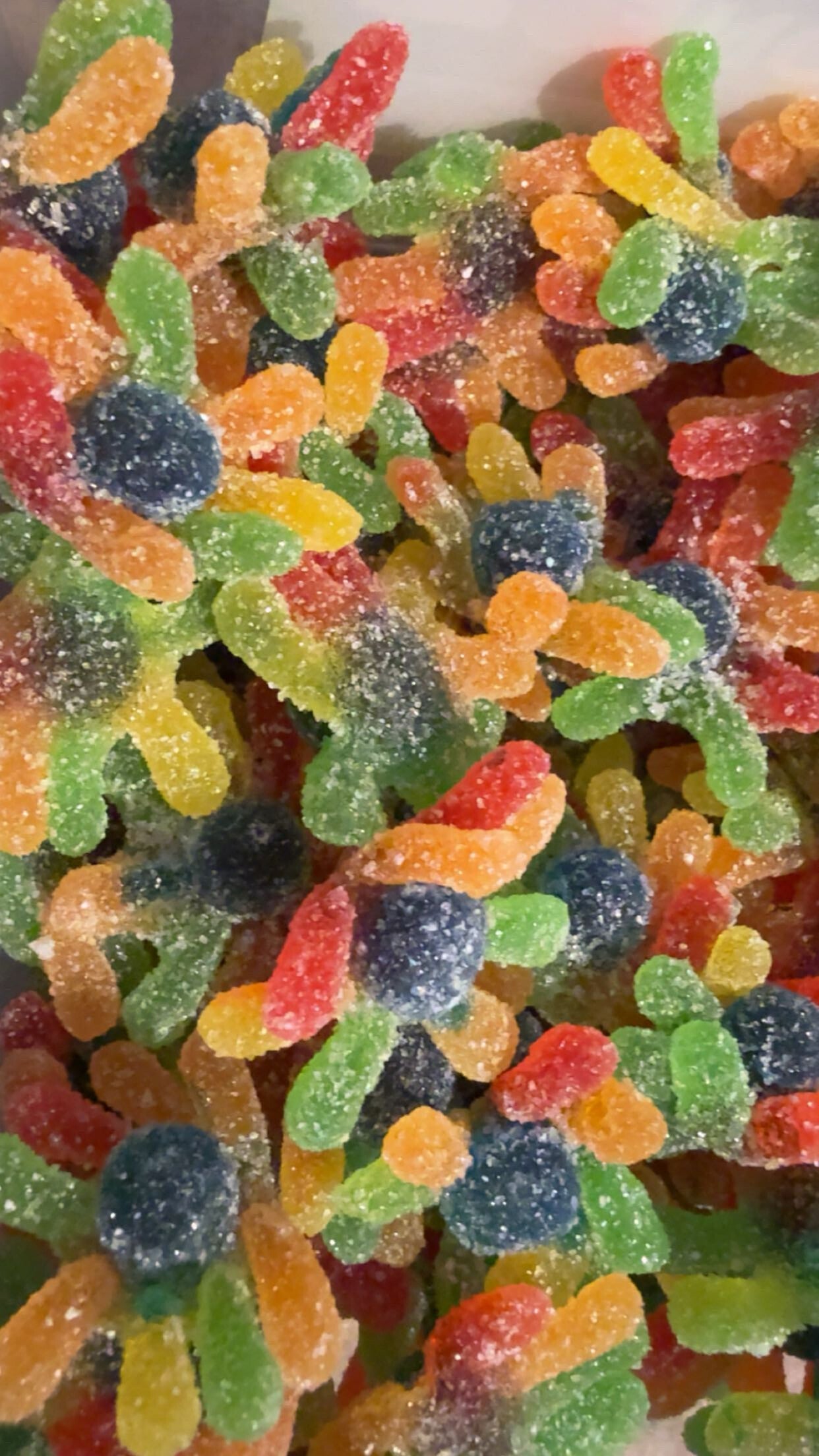 Poulpe multifruit