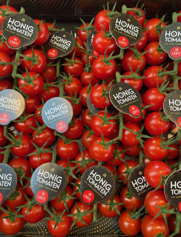 Honig Tomaten