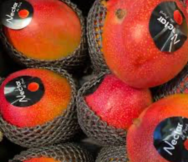 Flug Mango 1 Stück