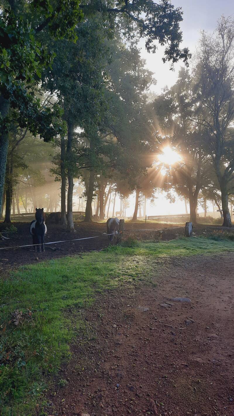 Paysage du Morvan - 89 Yonne
