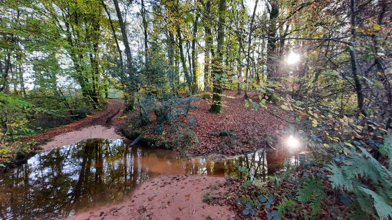 Nature en Morvan - 58 Nièvre