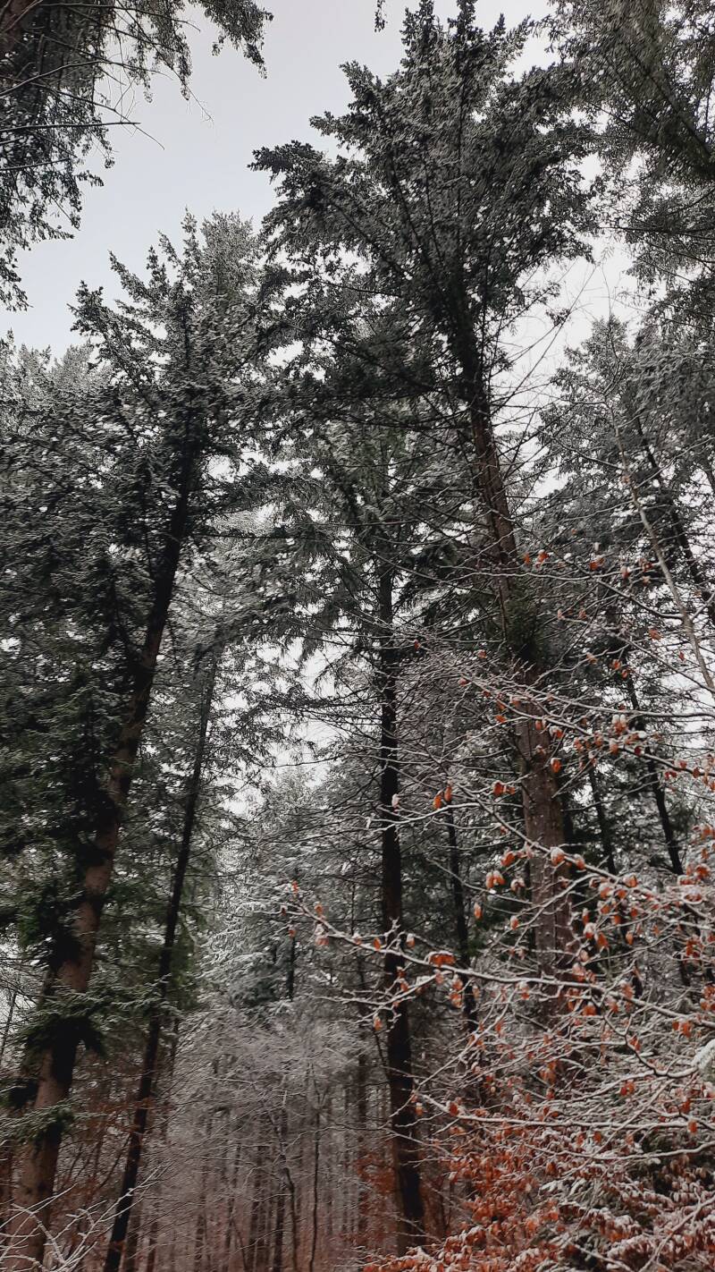 Nature en Morvan - Yonne 89